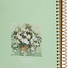 Kalpa Van Gogh Notitieboek spiraal Witte Rozen Kalpa Van Gogh Notitieboek spiraal Witte Rozen