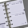 Kalpa Pocket (Junior) agendavulling dag NL EN 2023 Kalpa Pocket (Junior) agendavulling dag NL EN 2023