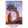 Helma 365 Wandkalender 2023 Bomen Helma 365 Wandkalender 2023 Bomen