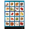 Helma 365 Wandkalender 2023 Spicy Helma 365 Wandkalender 2023 Spicy