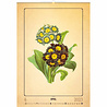 Helma 365 Kalpa Wall Calendar 2023 Herbarium 31.5 x 45 cm Helma 365 Kalpa Wall Calendar 2023 Herbarium 31.5 x 45 cm