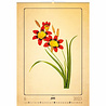 Helma 365 Kalpa Wall Calendar 2023 Herbarium 31.5 x 45 cm Helma 365 Kalpa Wall Calendar 2023 Herbarium 31.5 x 45 cm