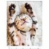 Helma 365 Kalpa Wandkalender 2023 Katjes 24 x 33 cm Helma 365 Kalpa Wandkalender 2023 Katjes 24 x 33 cm