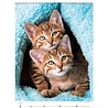 Helma 365 Kalpa Wandkalender 2023 Katjes 24 x 33 cm Helma 365 Kalpa Wandkalender 2023 Katjes 24 x 33 cm
