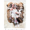 Helma 365 Kalpa Wall Calendar 2023 Puppies 24 x 33 cm Helma 365 Kalpa Wall Calendar 2023 Puppies 24 x 33 cm