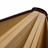 Dreamnotes Dreamnotes notitieboek Mail15 x 105- cm. Vi Dreamnotes Dreamnotes notitieboek Mail15 x 105- cm. Vi