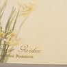 Dreamnotes notitieboek Mijn Victoria: witte Orchidee 9 x 14 cm. Dreamnotes notitieboek Mijn Victoria: witte Orchidee 9 x 14 cm.