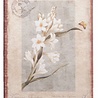 Dreamnotes notitieboek Mijn Victoria: witte Orchidee 9 x 14 cm. Dreamnotes notitieboek Mijn Victoria: witte Orchidee 9 x 14 cm.