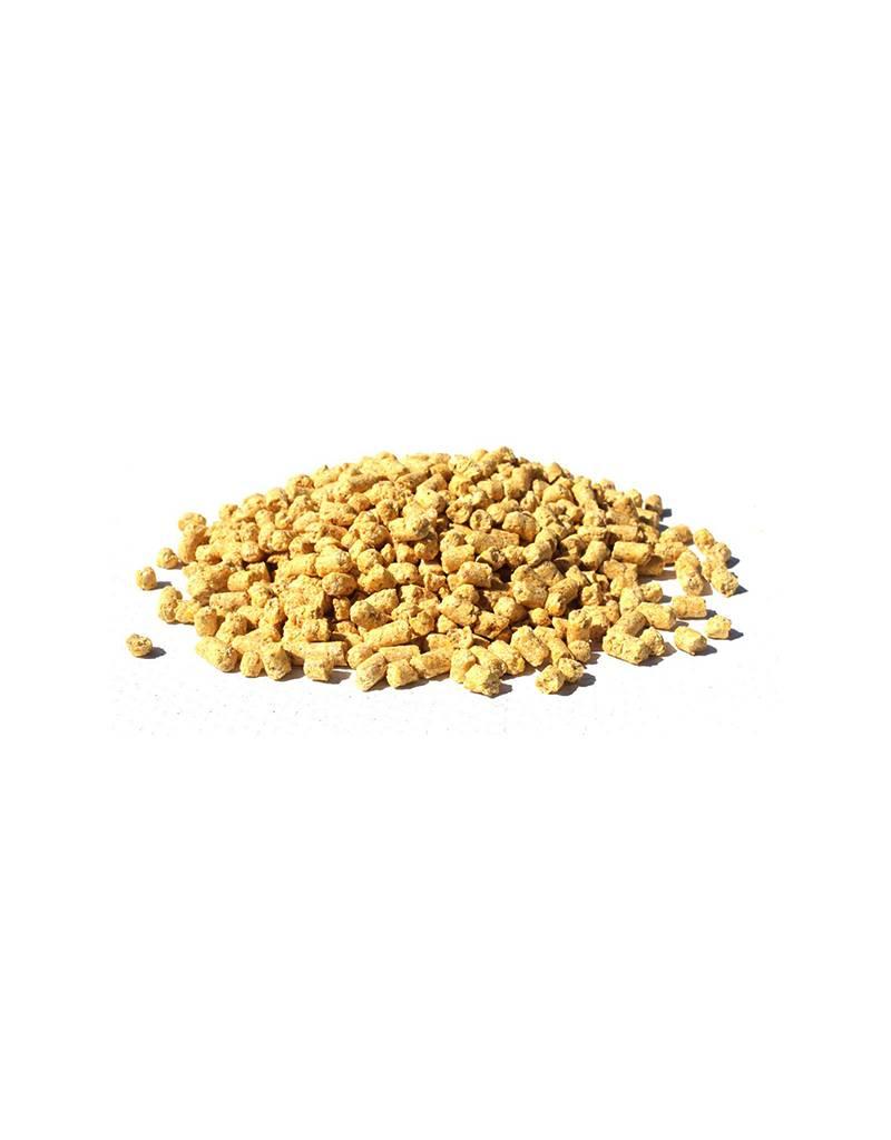 BFM Baits BFM Baits - Babycorn Pellets 5kg