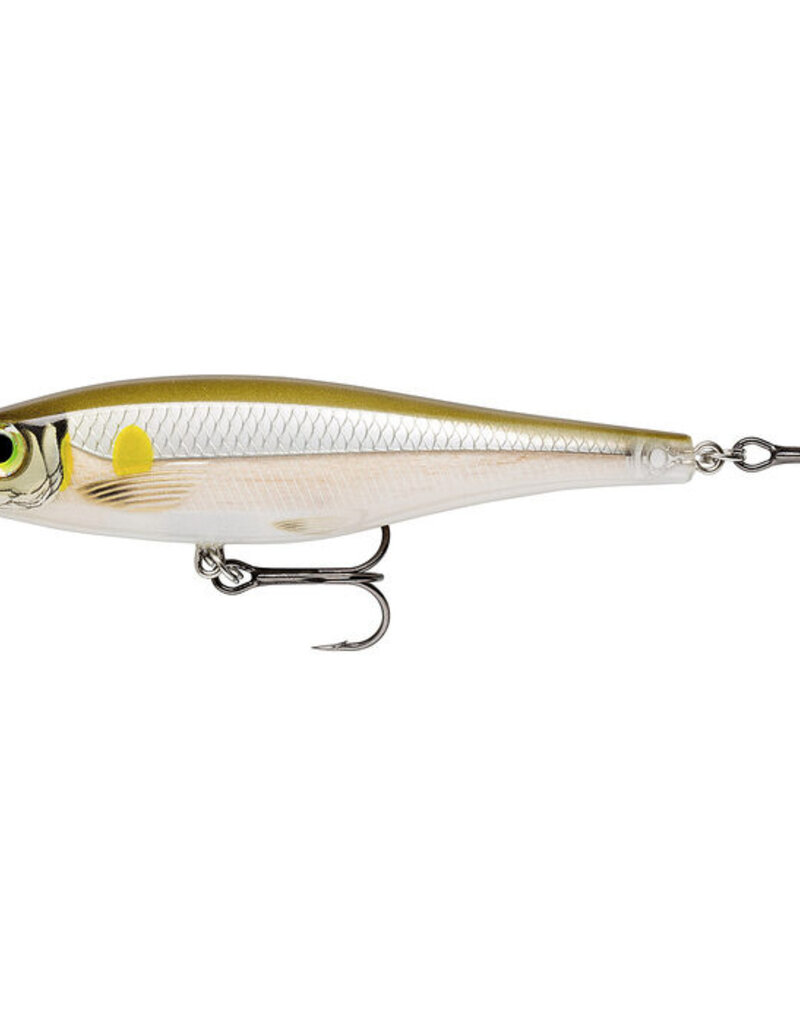 Rapala Rapala Balsa Xtreme Ayu 10cm