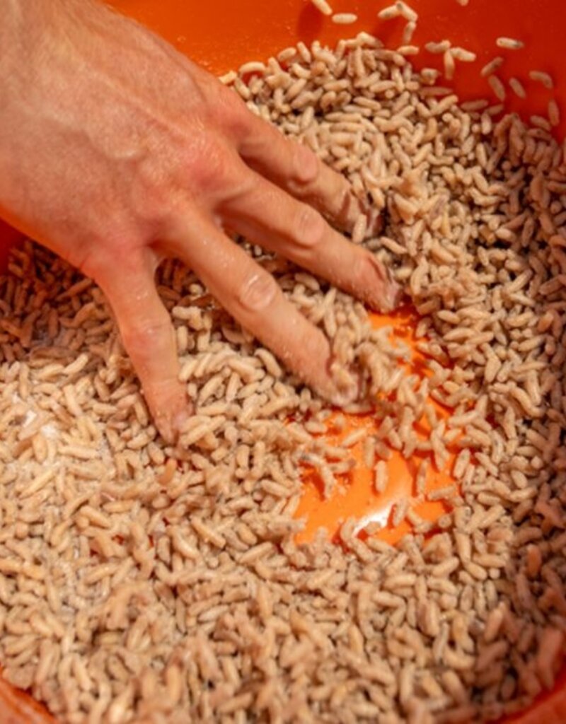 Sonubaits Sonubaits Maggot Glue