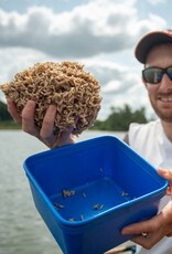 Sonubaits Sonubaits Maggot Glue