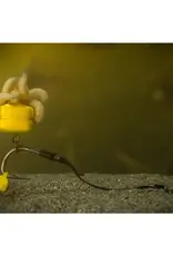 Pole Position Pole Position Tungsta Corn Shot