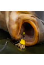 Pole Position Pole Position Tungsta Corn Shot