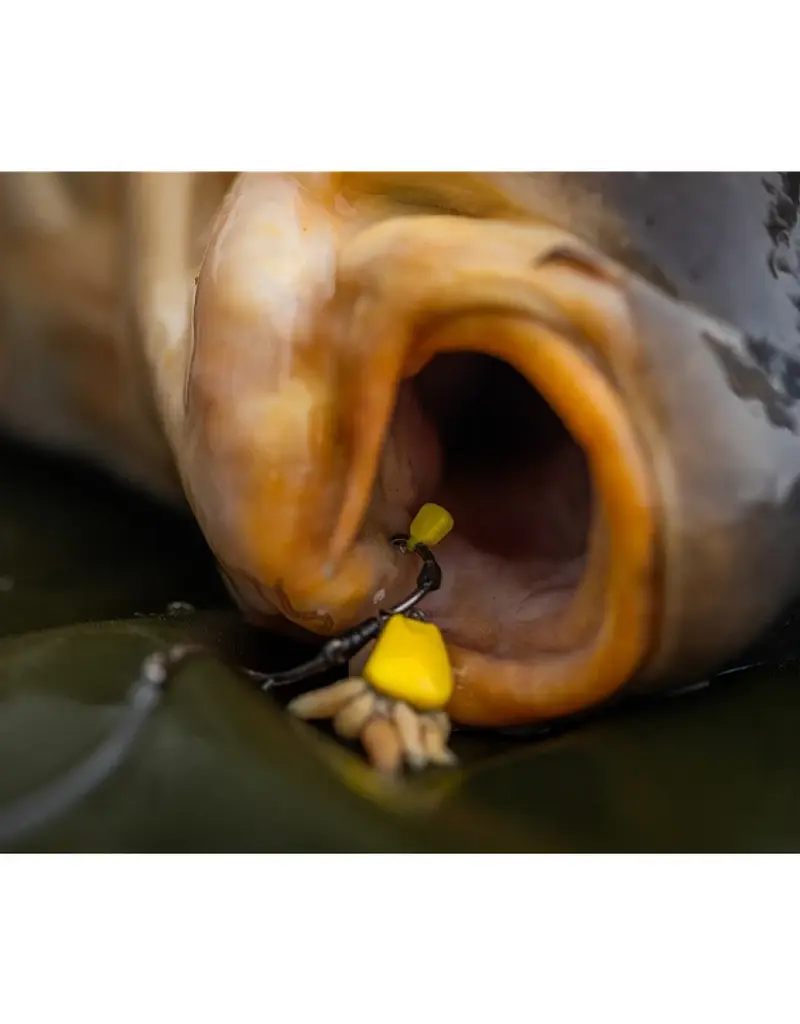 Pole Position Pole Position Tungsta Corn Shot