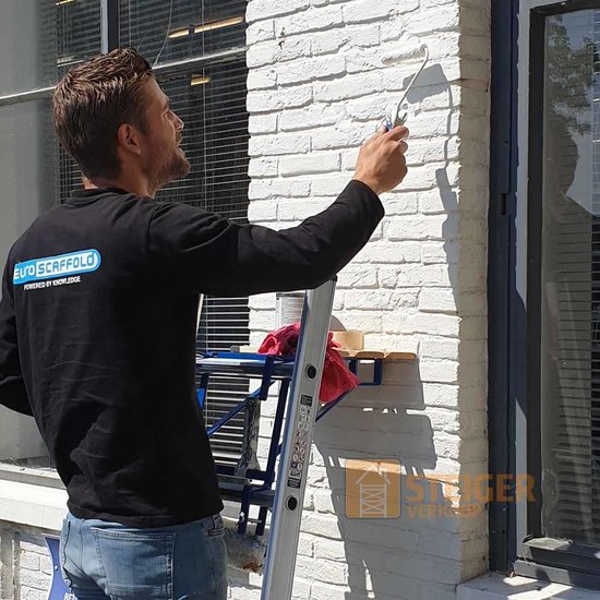 Euroscaffold Ladder muurafhouder Blauw (sport 30 mm)