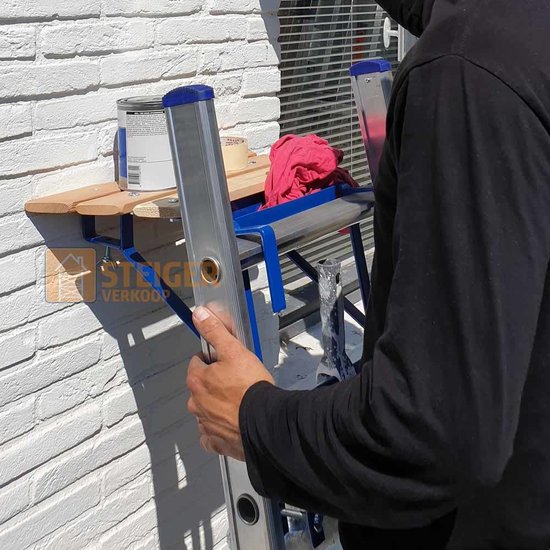 Euroscaffold Ladder muurafhouder Blauw (sport 30 mm)