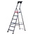 Altrex Double Decker Huishoudtrap 6-treeds