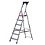 Altrex Double Decker Huishoudtrap 6-treeds