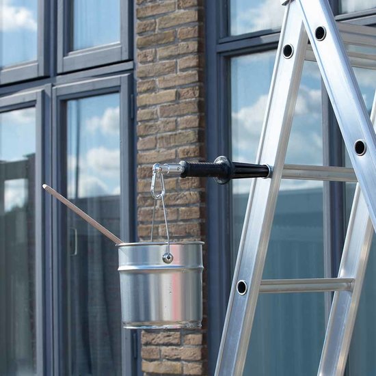Ladderlimb