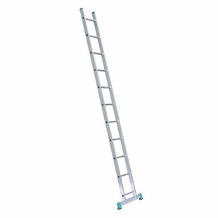 Eurostairs home ladder enkel recht 1x11 sporten