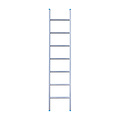 Eurostairs Eurostairs Ladder enkel recht 1x7 sporten