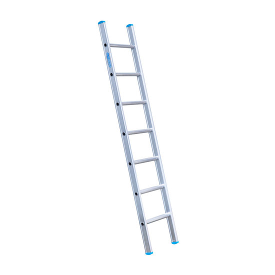 Eurostairs Eurostairs Ladder enkel recht 1x7 sporten