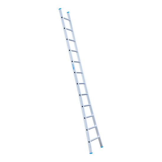 Eurostairs Eurostairs Ladder enkel uitgebogen 1x12 sporten