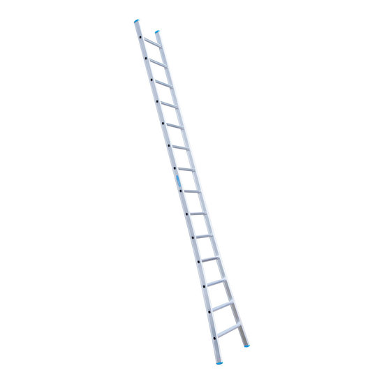 Eurostairs Eurostairs Ladder enkel uitgebogen 1x14 sporten
