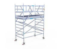 Rolsteiger Euroscaffold Professional 135x250 4,2m werkhoogte carbon vloer vrijstaand