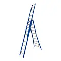 ASC Premium Ladder 3x10 sporten