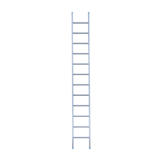 Eurostairs Eurostairs Ladder enkel recht 1x12 sporten