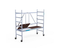 Kamersteiger compleet 75x190 3m werkhoogte platform met luik