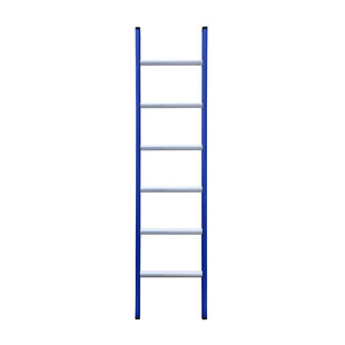 Eurostairs Ladder enkel recht 1x6 sporten BLAUW