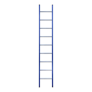Eurostairs Ladder enkel recht 1x9 sporten BLAUW