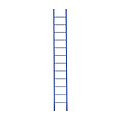 Eurostairs Eurostairs Ladder enkel recht 1x12 sporten BLAUW