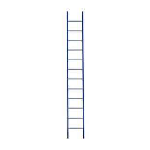 Eurostairs Ladder enkel recht 1x12 sporten BLAUW