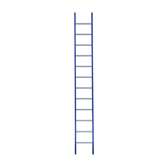 Eurostairs Eurostairs Ladder enkel recht 1x12 sporten BLAUW