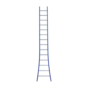 Eurostairs Ladder enkel uitgebogen 1x14 sporten BLAUW