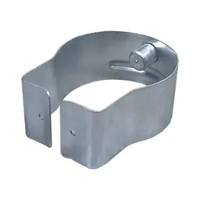 Gevelsteiger borgclip