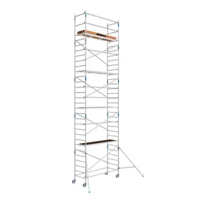 Rolsteiger Alumexx Budget 90x250 10,2m werkhoogte