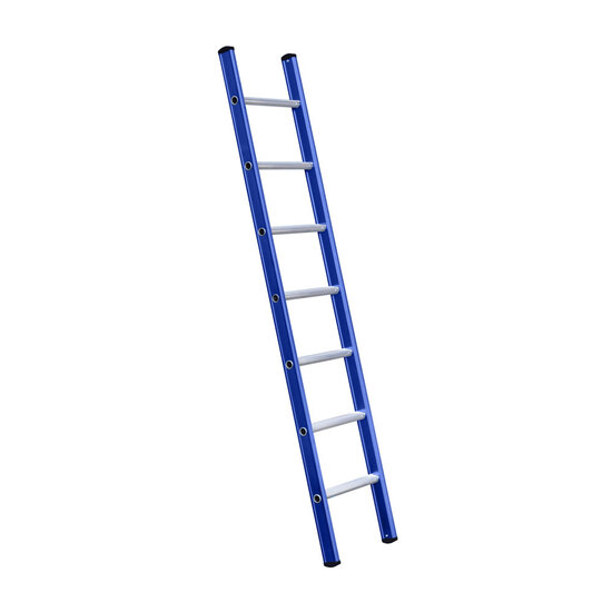 Eurostairs Eurostairs Ladder enkel recht 1x7 sporten