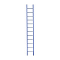 Eurostairs Eurostairs Ladder enkel recht 1x12 sporten