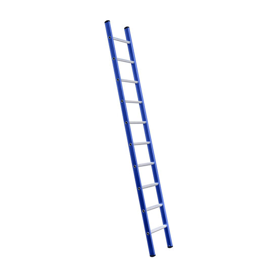 Eurostairs Eurostairs Ladder enkel recht 1x10 sporten