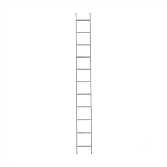 Eurostairs Eurostairs home ladder enkel recht 1x11 sporten