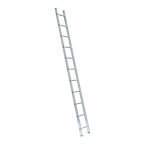 Eurostairs home ladder enkel recht 1x11 sporten