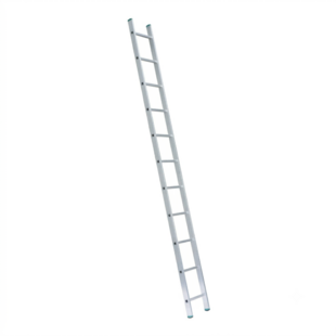 Eurostairs home ladder enkel recht 1x11 sporten