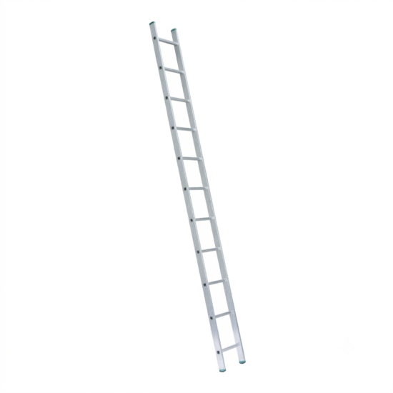 Eurostairs Eurostairs home ladder enkel recht 1x11 sporten