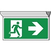 Pikt-o-Norm Pictogram emergency exit right