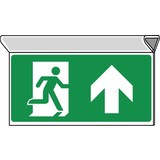 Pictogram nooduitgang rechtdoor